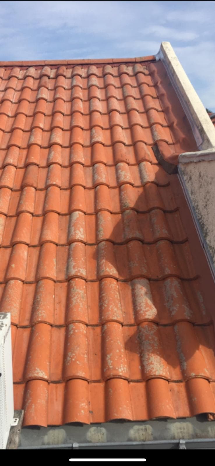 Mousse visible sur une couverture en tuiles avant entretien