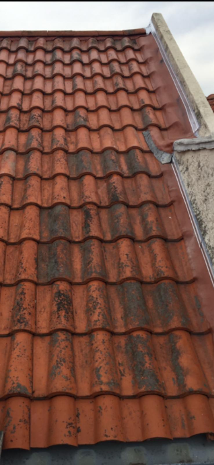 Mousse visible sur une couverture en tuiles avant entretien